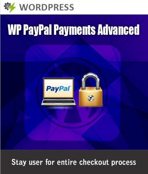 Get WP PayPal Payments Advanced for Best Payment!!