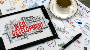 eGrove Offers Magento Development Services