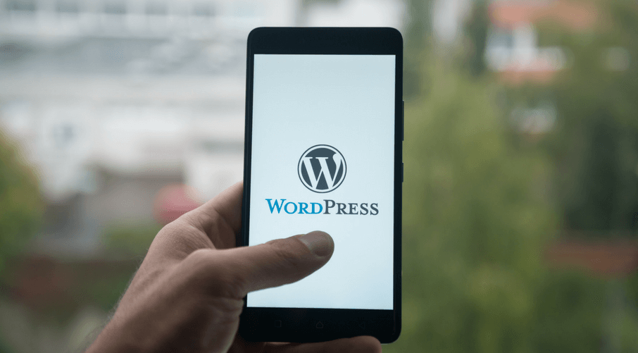 WordPress Customization leading to Website Development