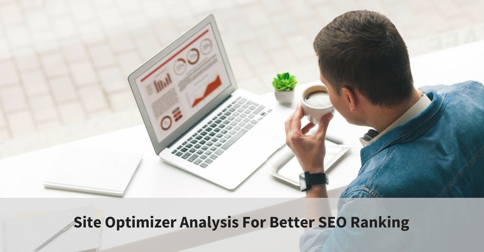 Site Optimizer Analysis For Better SEO Ranking
