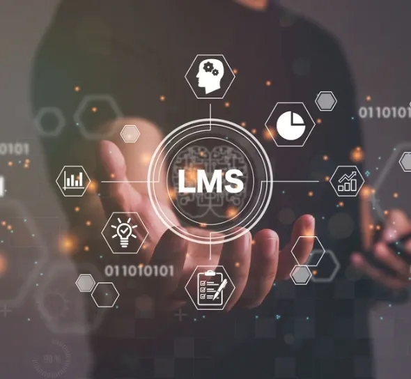 Content Management Systems Development