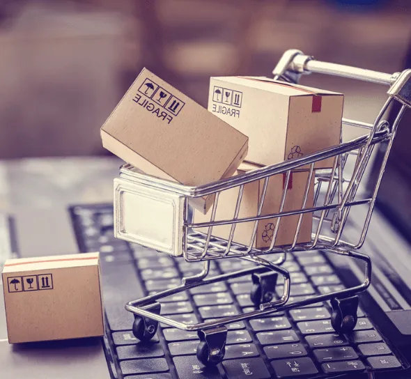 Content Management Systems Development